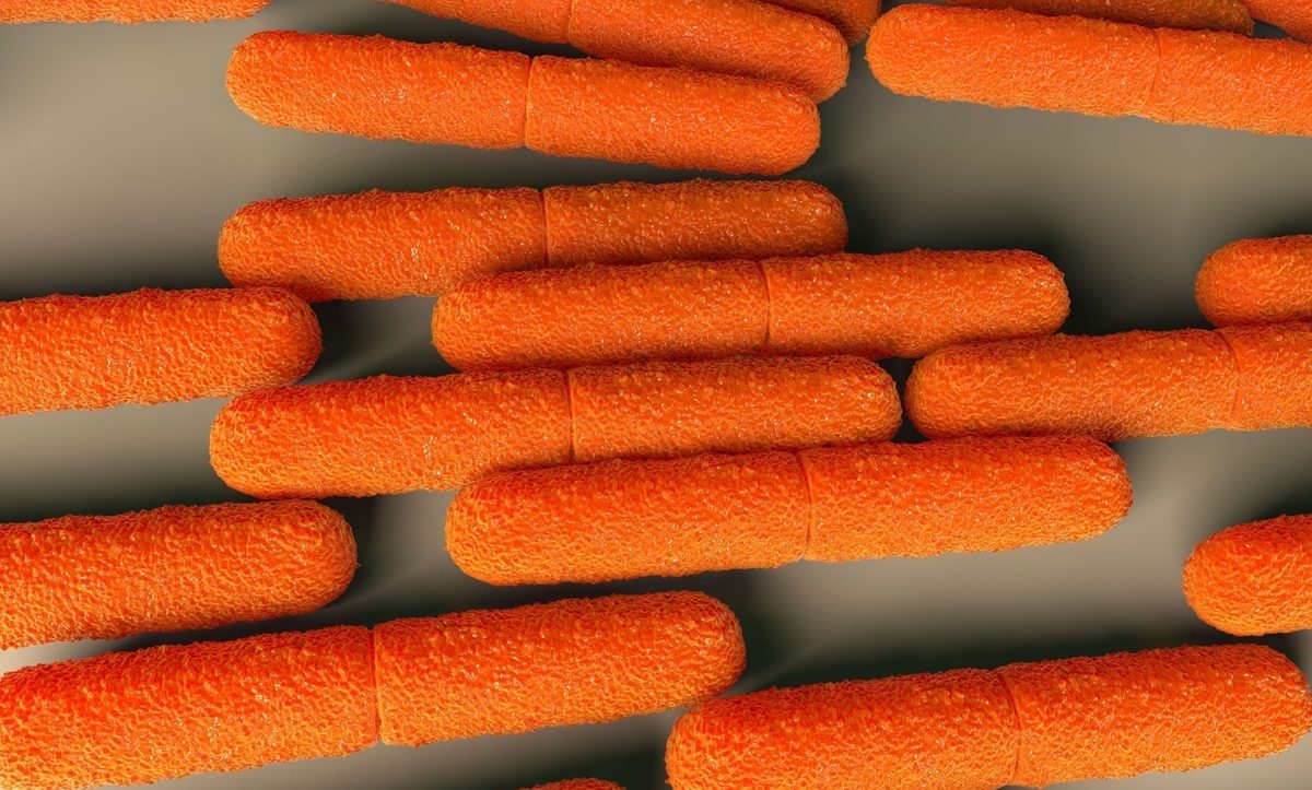 Dezenfeksiyon Hijyenix