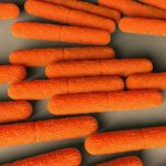 Dezenfeksiyon Hijyenix