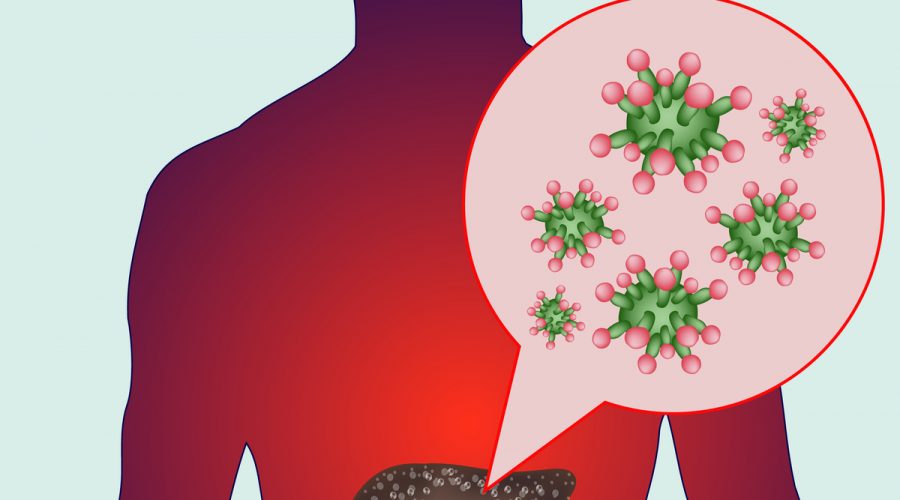 Dezenfeksiyon Hijyenix