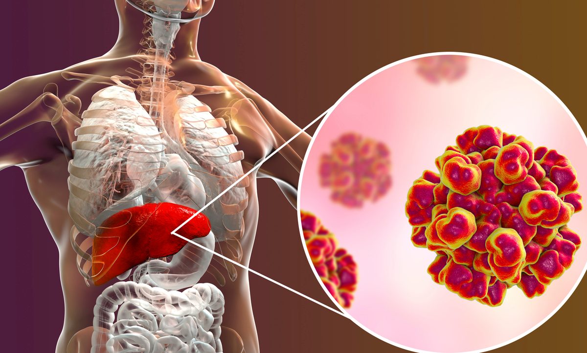 Dezenfeksiyon Hijyenix