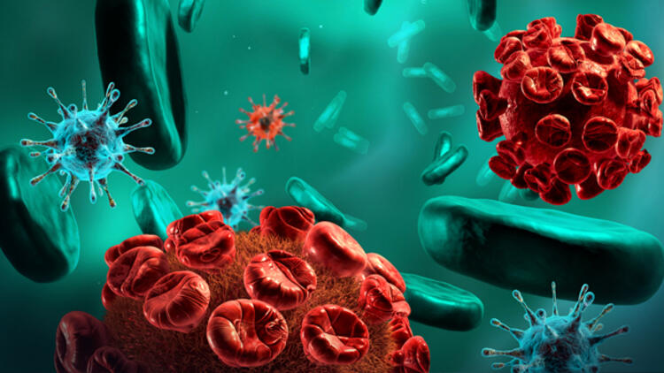 Dezenfeksiyon Hijyenix