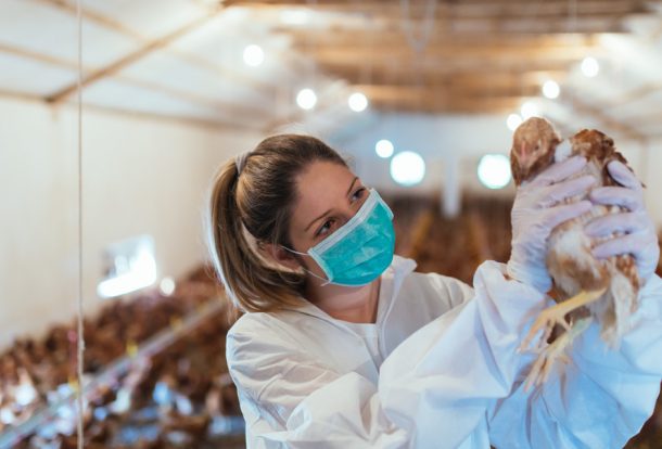 Dezenfeksiyon Hijyenix