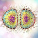 Dezenfeksiyon Hijyenix